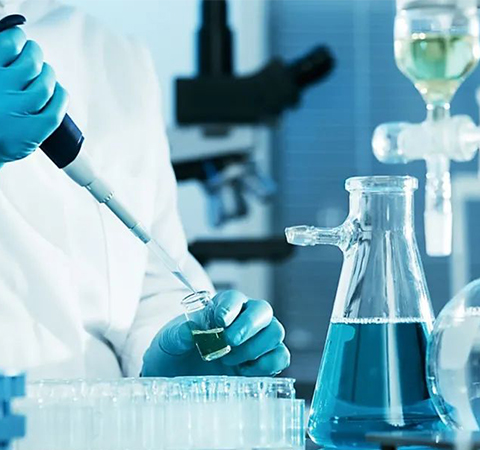 如何證明反轉(zhuǎn)錄第一鏈cDNA成功了？