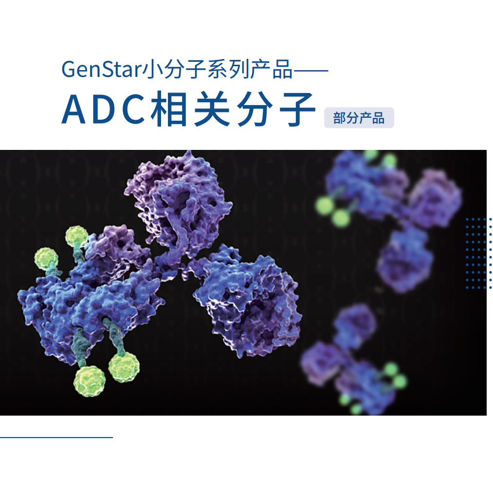 小分子系列-ADC相關分子