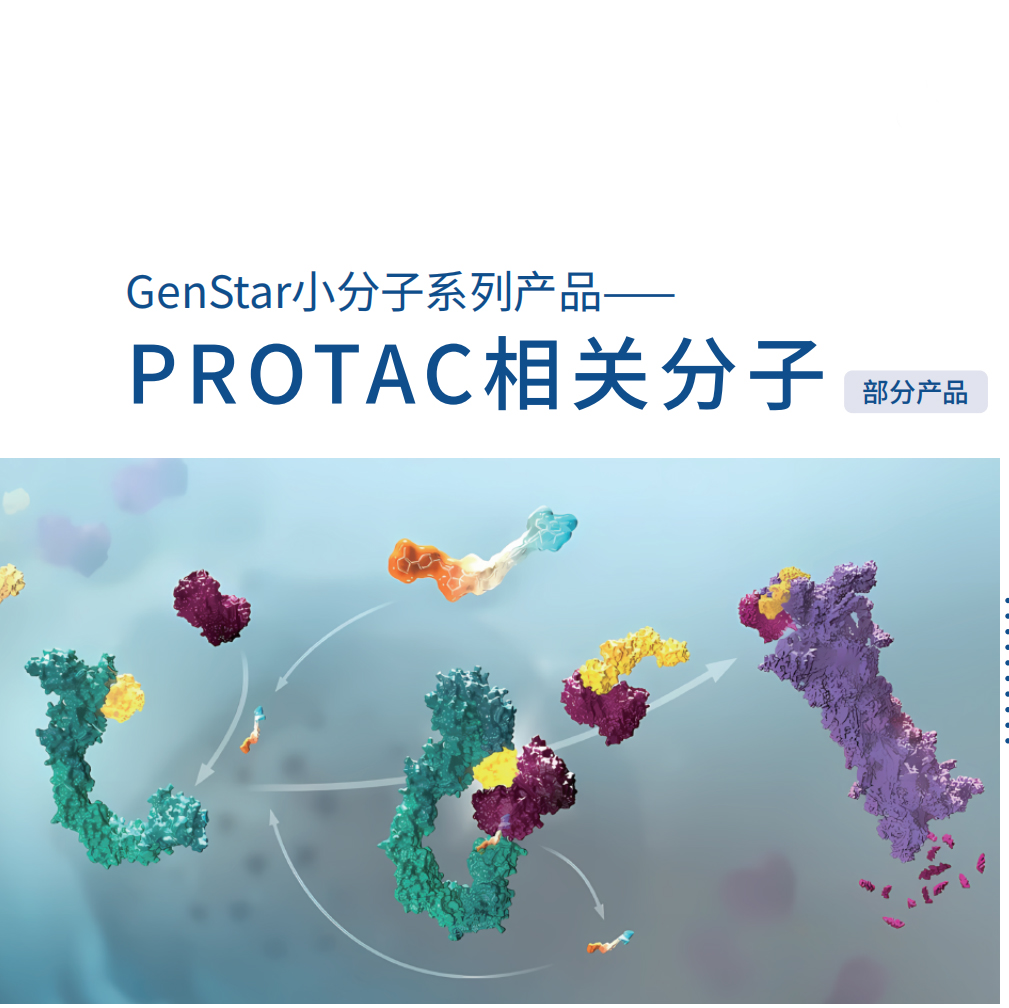小分子系列-PROTAC相關分子