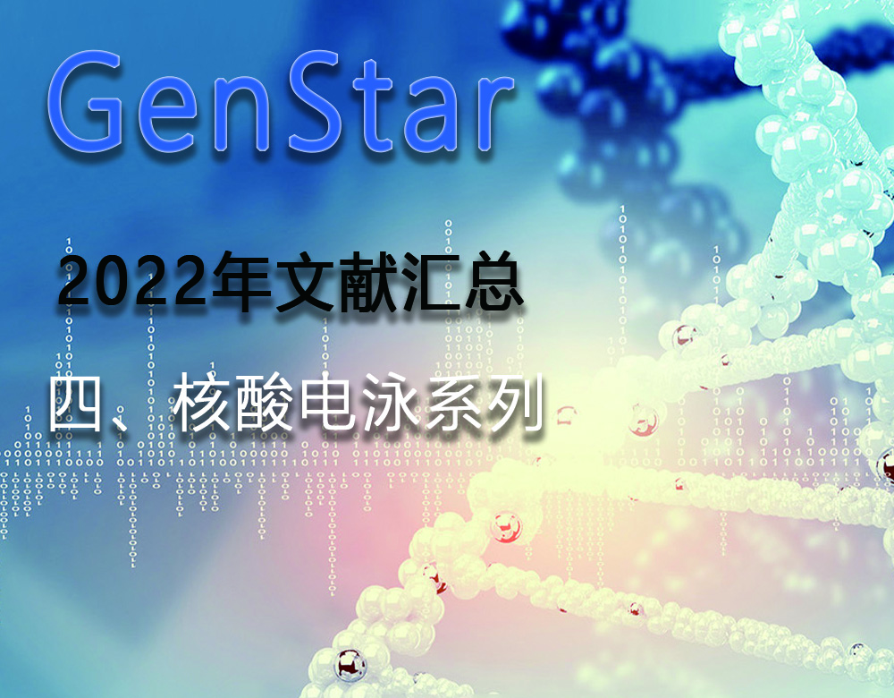 GenStar 2022年文獻(xiàn)匯總（四、核酸電泳系列）
